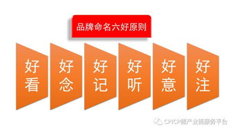 肖一刀 从无到有，打造猪肉品牌的战略与启示