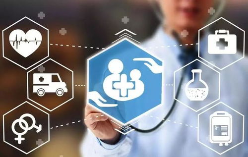 大健康产业平台招商加盟与企业管理咨询 战略机遇与实践指南