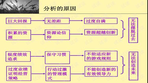 产品组合分析 破解企业战略规划难题的波士顿矩阵与解决模式